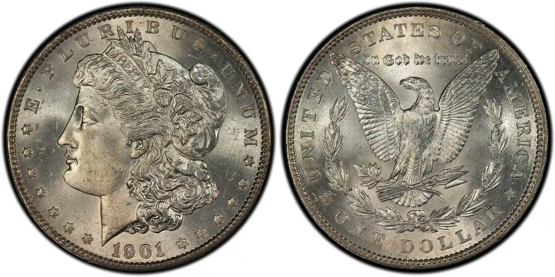 1901 Morgan Dollar Coin